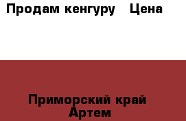 Продам кенгуру › Цена ­ 500 - Приморский край, Артем г. Дети и материнство » Коляски и переноски   